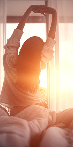Morning Glory Advantages