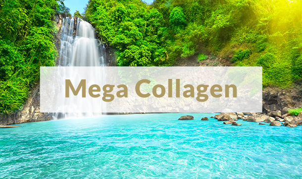 Mega Collagen