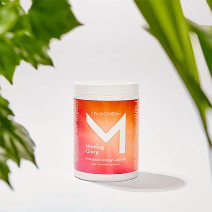 Morning Glory Metabolic 1
